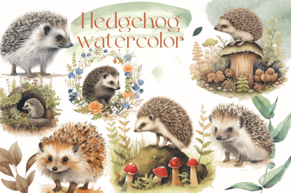 Adorable Hedgehog Watercolor Clipart for Your Projects
