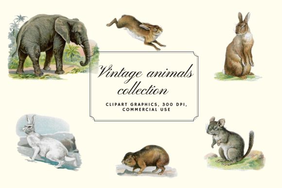 Antique Animal Clipart Set: Vintage Elephant Graphics