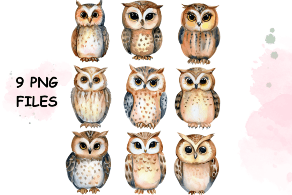 Charming Owl Watercolor Clipart for Creative Projects