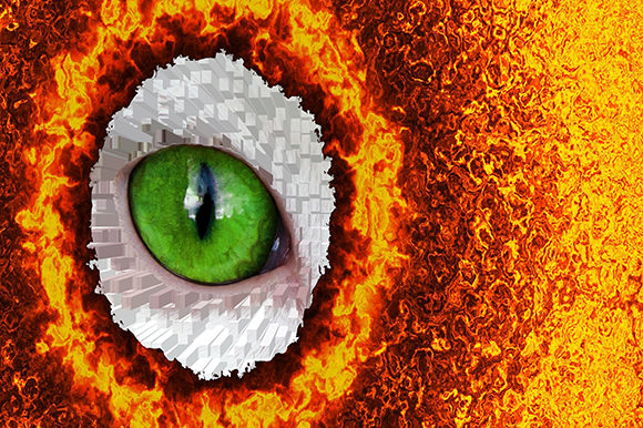 Explore the Bird Eye Animal Fire Circle Background Design